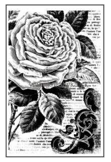 Gumová pečiatka, ružička  7x11cm